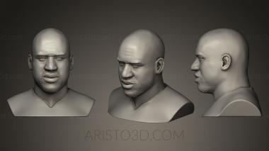 Busts and bas-reliefs of famous people (BUSTC_0558) 3D model for CNC machine